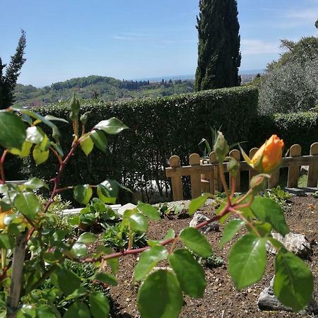 Da Adria Al Corvenale - Casa Vacanze Carrara - Βίλα Εξωτερικό φωτογραφία