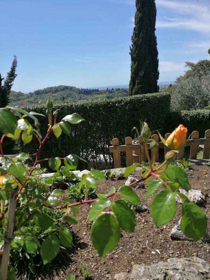 Da Adria Al Corvenale - Casa Vacanze Carrara - Βίλα Εξωτερικό φωτογραφία